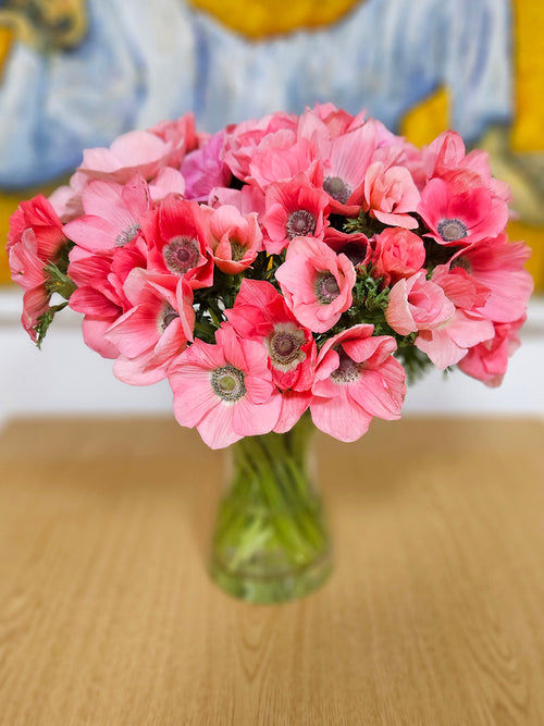 Köp Anemone Barbie