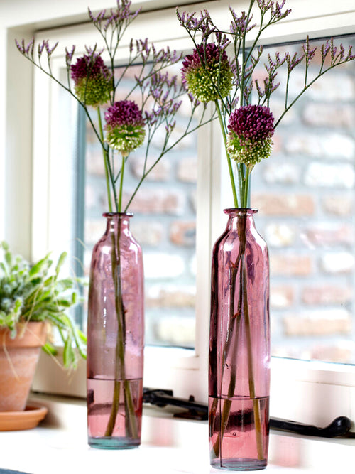 Köp Allium Sphaerocephalon (Klotlök) från DutchGrown™