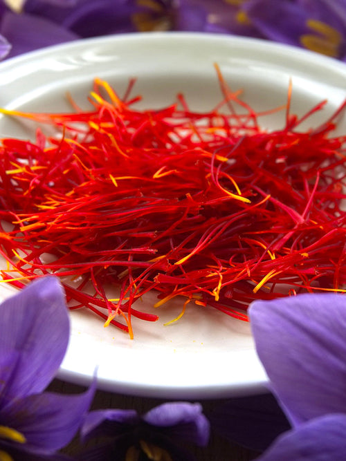 Crocus Sativus (saffranskrokus) från Holland hos DutchGrown™