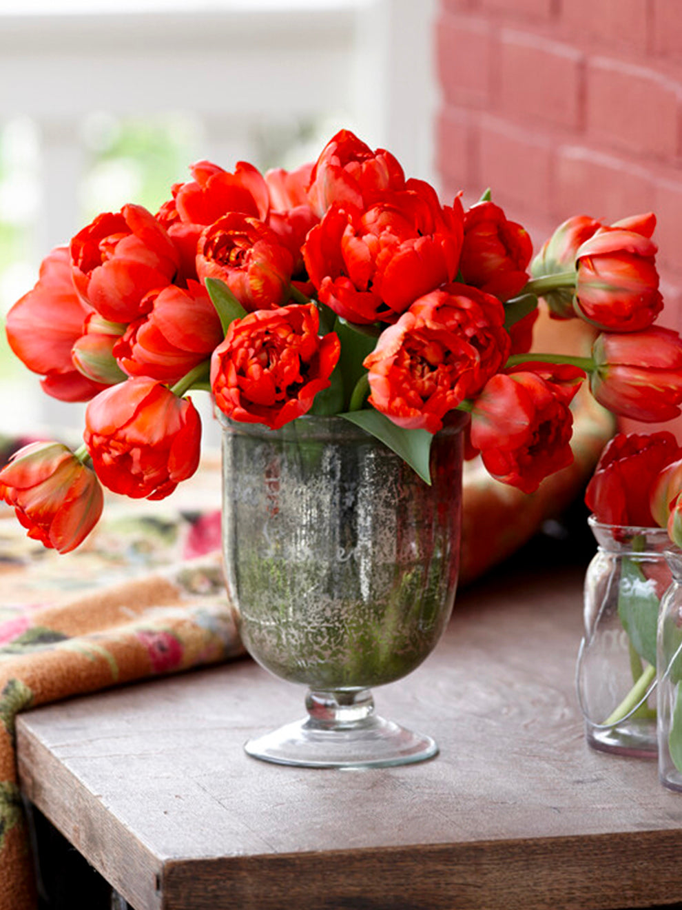 Tulpan Red Pomponette | Köp Blomsterlökar från DutchGrown™